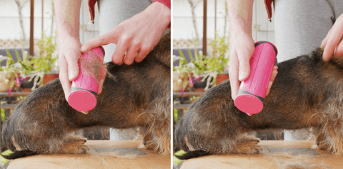 SmoothGroomer™ 3in1 Deshedding Undercoat & Fur Brush