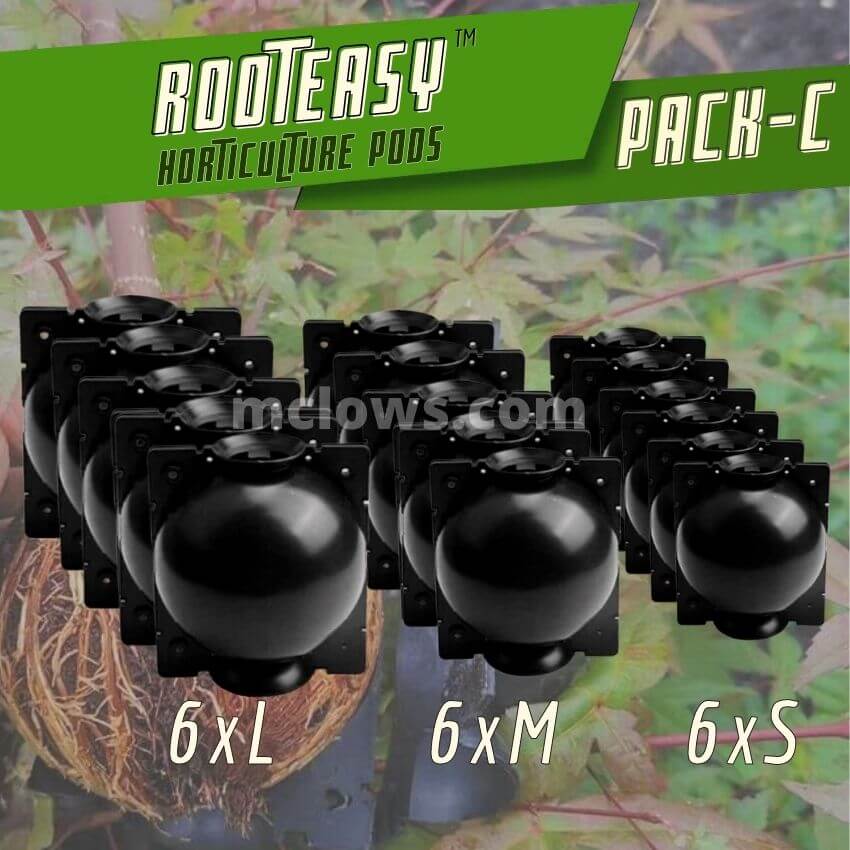 rooteasy plant rooting box seeding casev046c