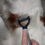 Pet Safe Dematting Comb